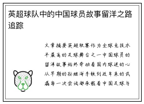 英超球队中的中国球员故事留洋之路追踪