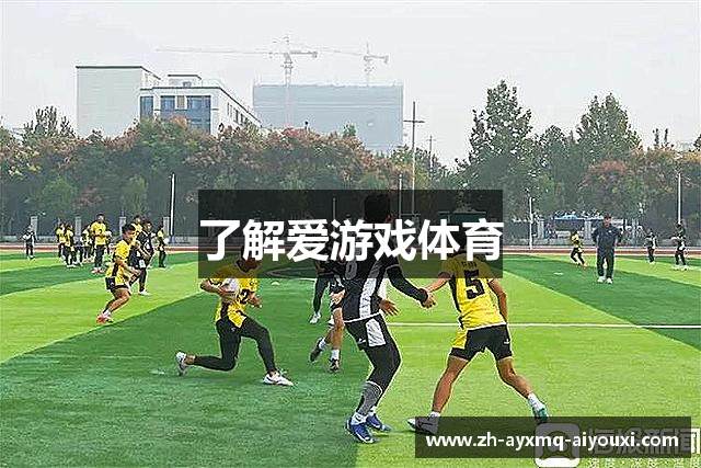 了解爱游戏体育
